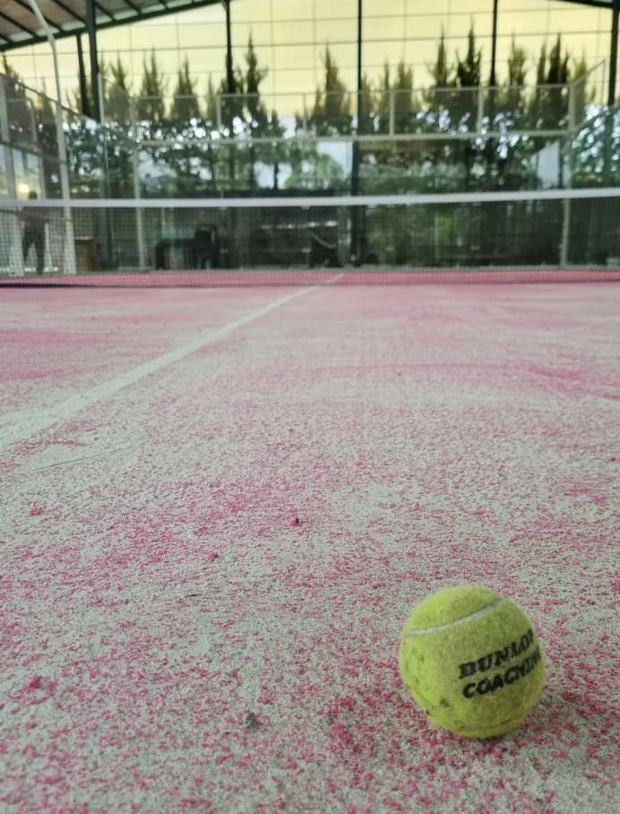 Sportive Hub Padel - Bandung